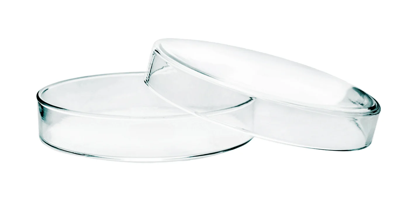 Petri Dish, Soda Glass