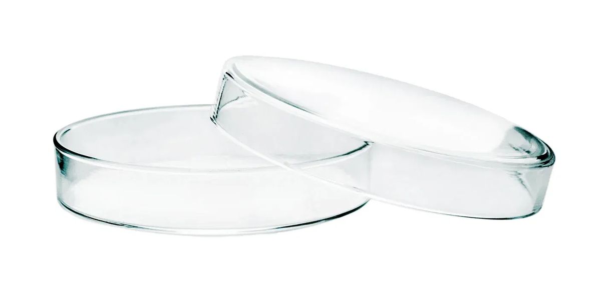 Petri Dish, Borosilicate Glass