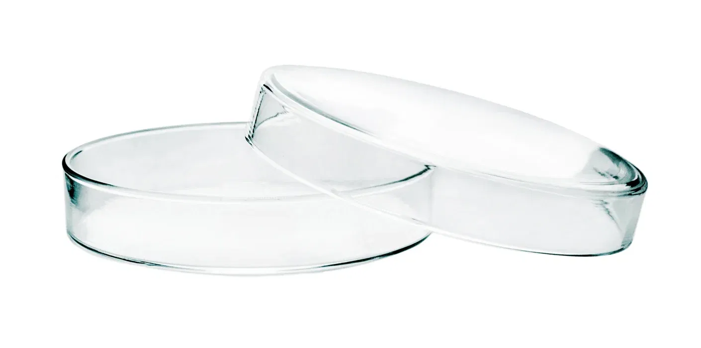 Petri Dish, Glass & PS (Multiple Sizes)